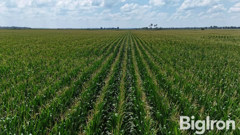 Pivot-Equipped Farmland