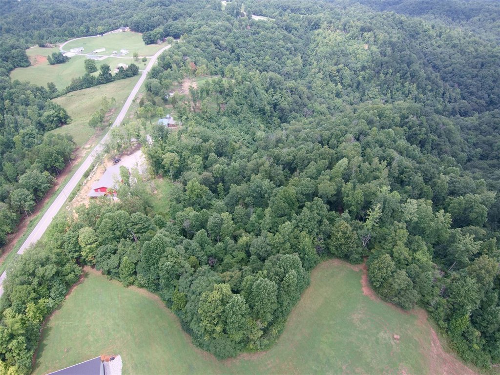 Picture 5