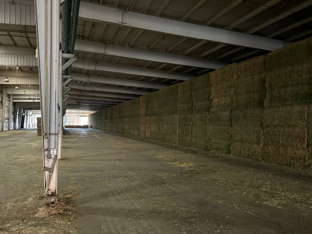 Picture 31