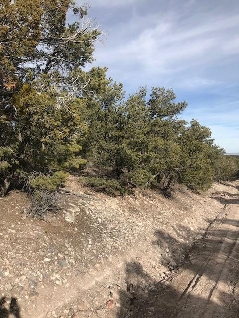 Picture 3