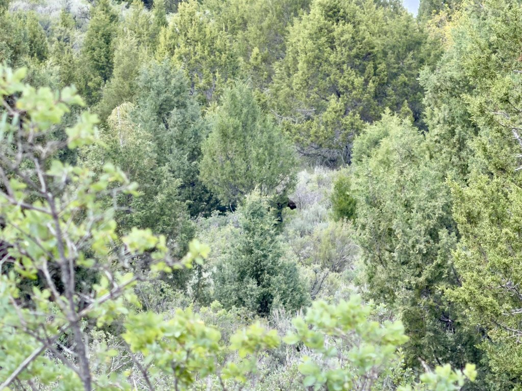 Picture 30