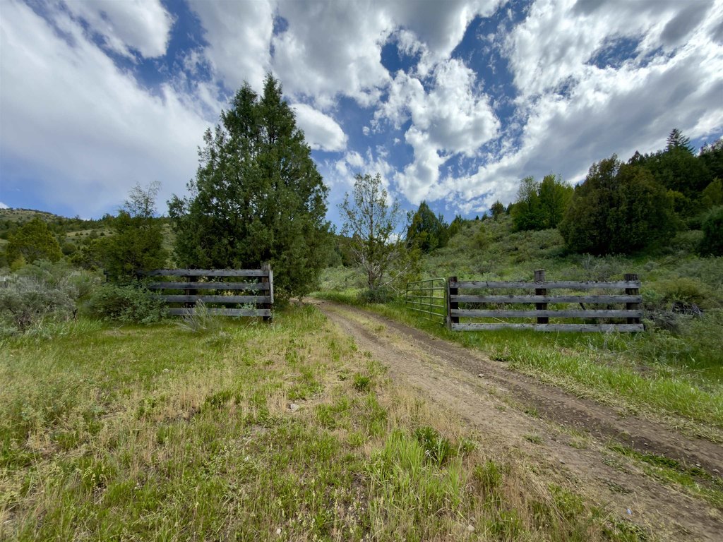 Picture 38