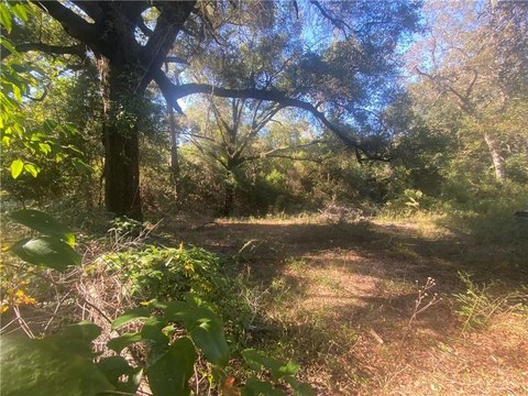 Residential Land in Mobile, AL