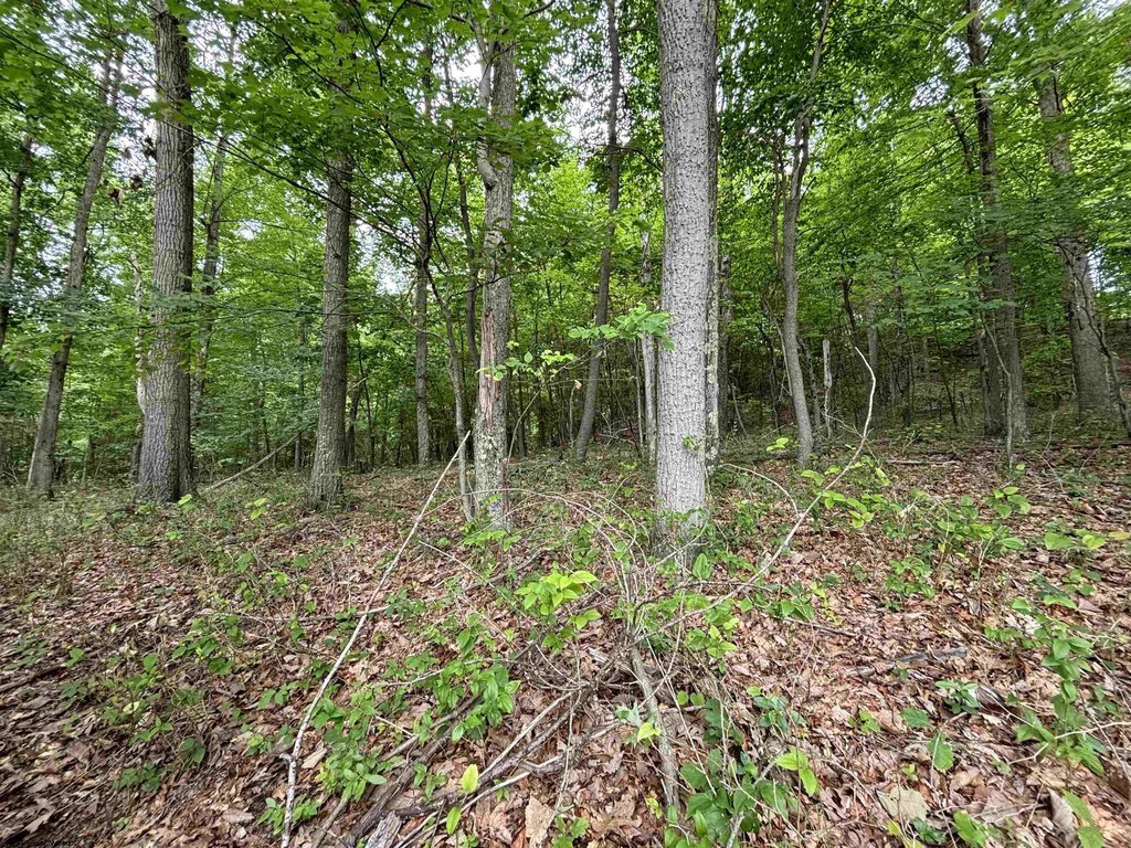 Picture 8