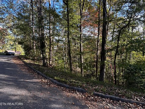 LAND - Clinton, TN