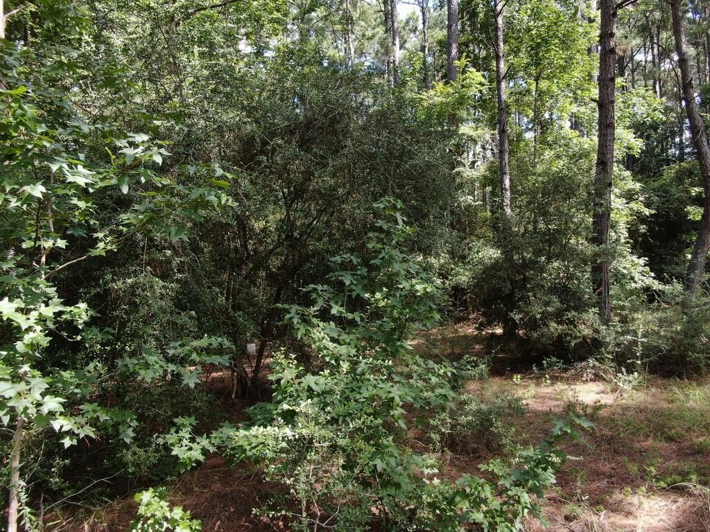 Picture 8