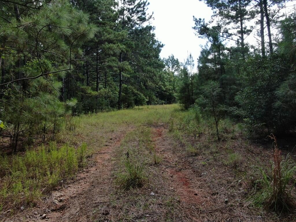 Picture 4