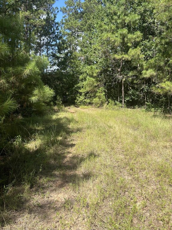 Picture 13