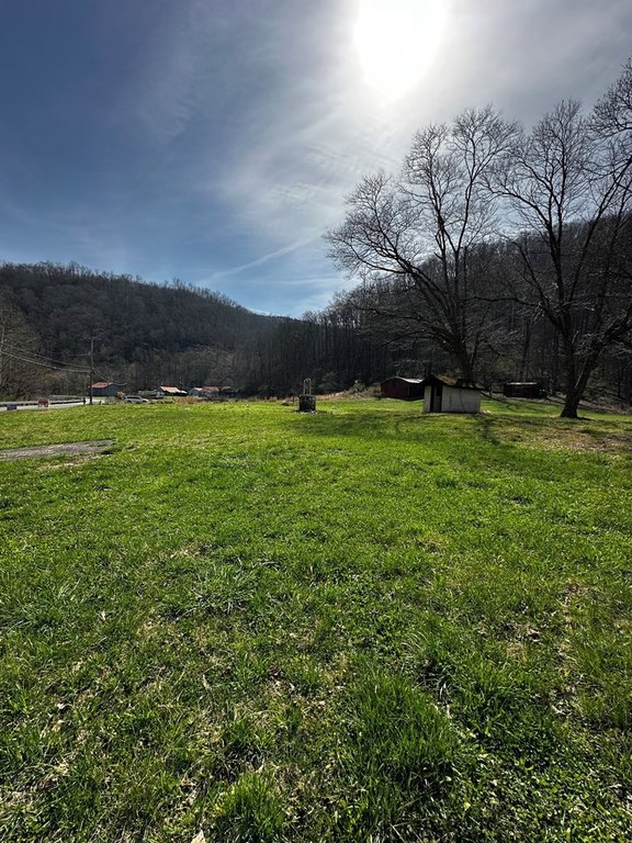 Picture 3