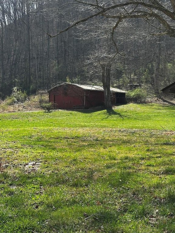 Picture 15