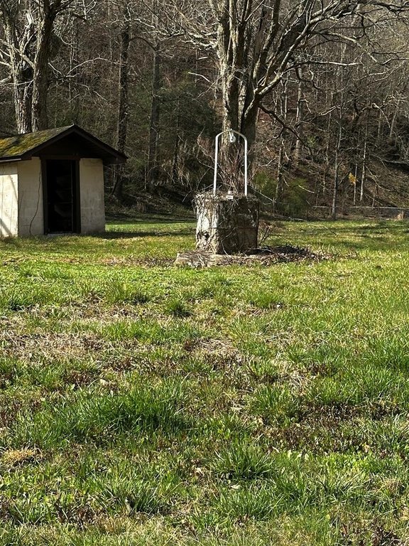 Picture 17