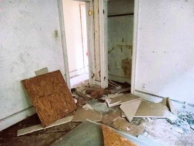 Picture 20