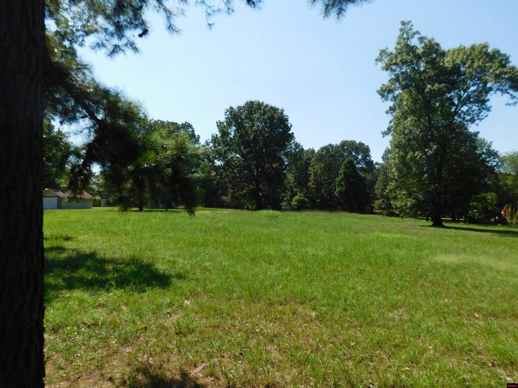Picture 3