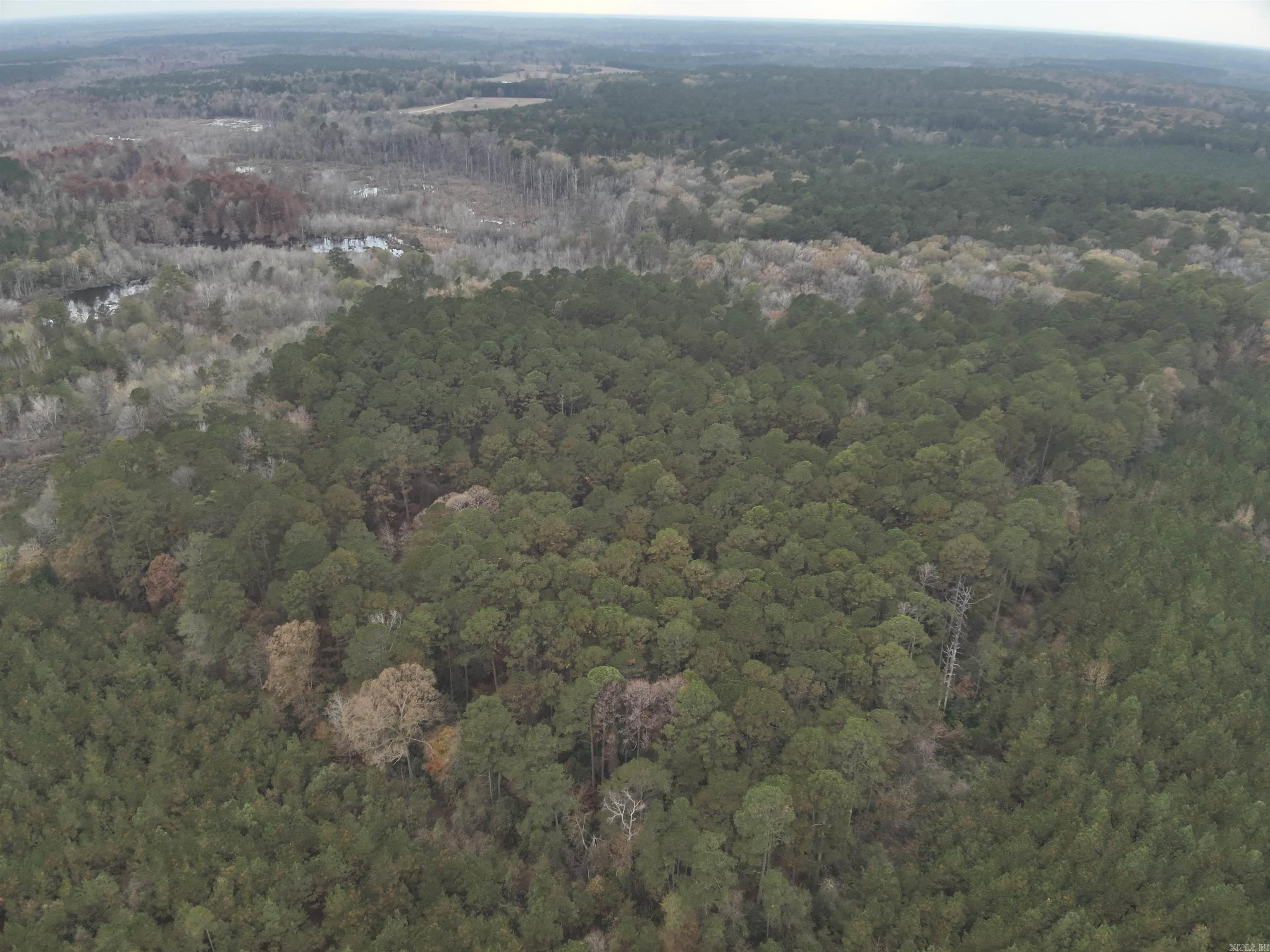 80 Acres of Timberland Near Strong