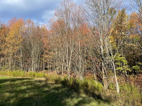 Country Home Site on 5 Acres