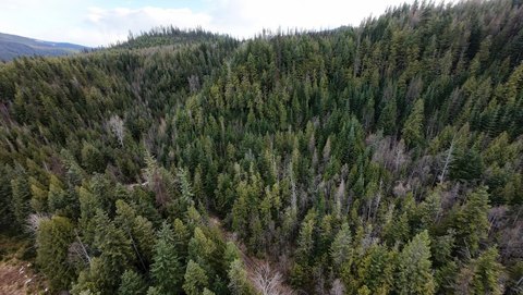 Recreation & Hunting Land with Creeks
