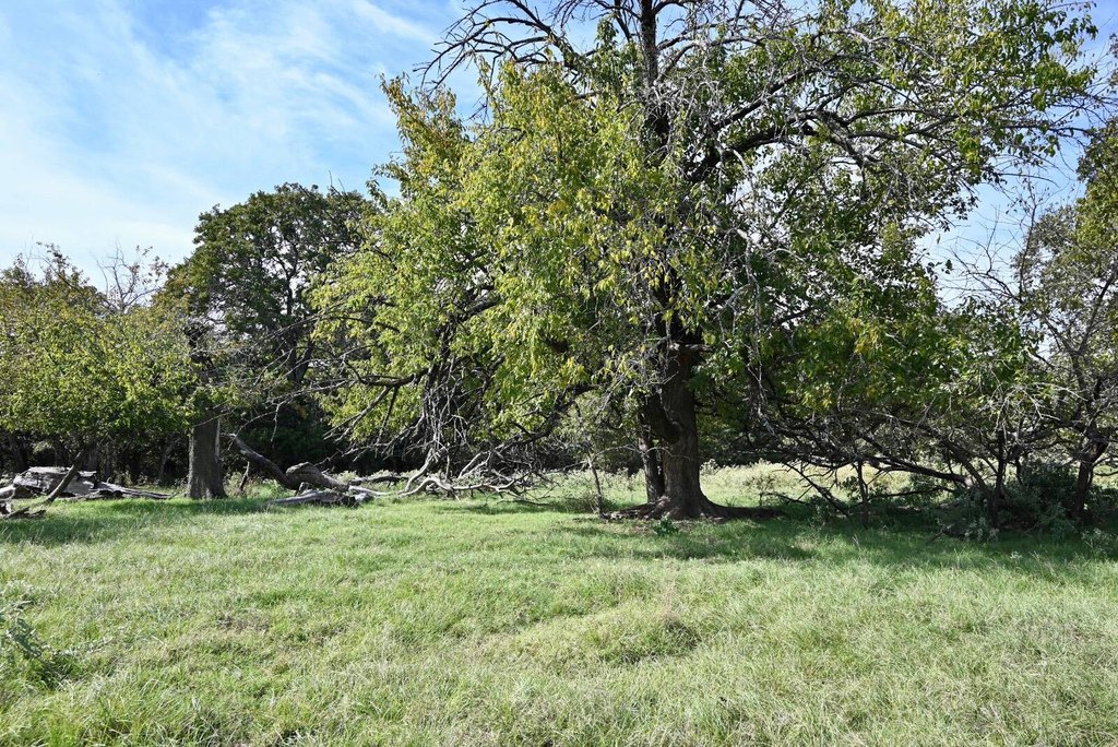 Picture 7