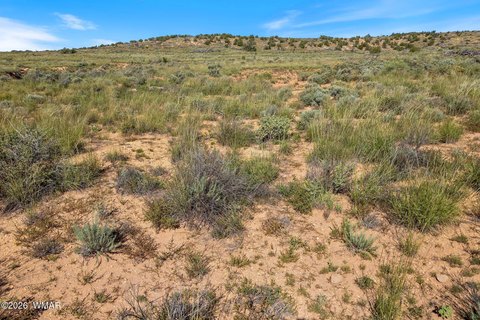 Land Parcel Overlooking Snowflake