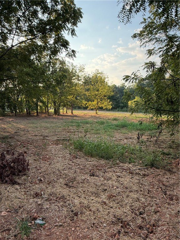 Picture 3