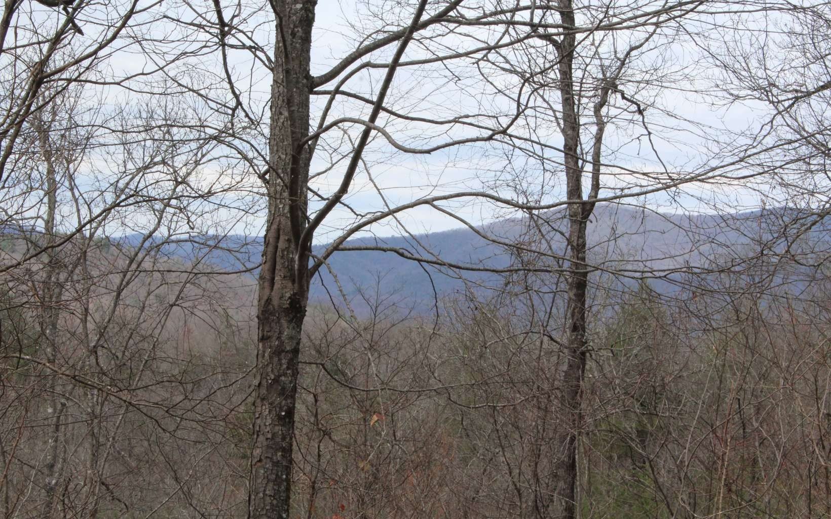 Wooded Lot in Mountain Subdivision
