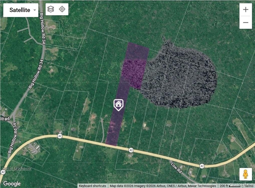 Grahamsville Land with Mobile Home