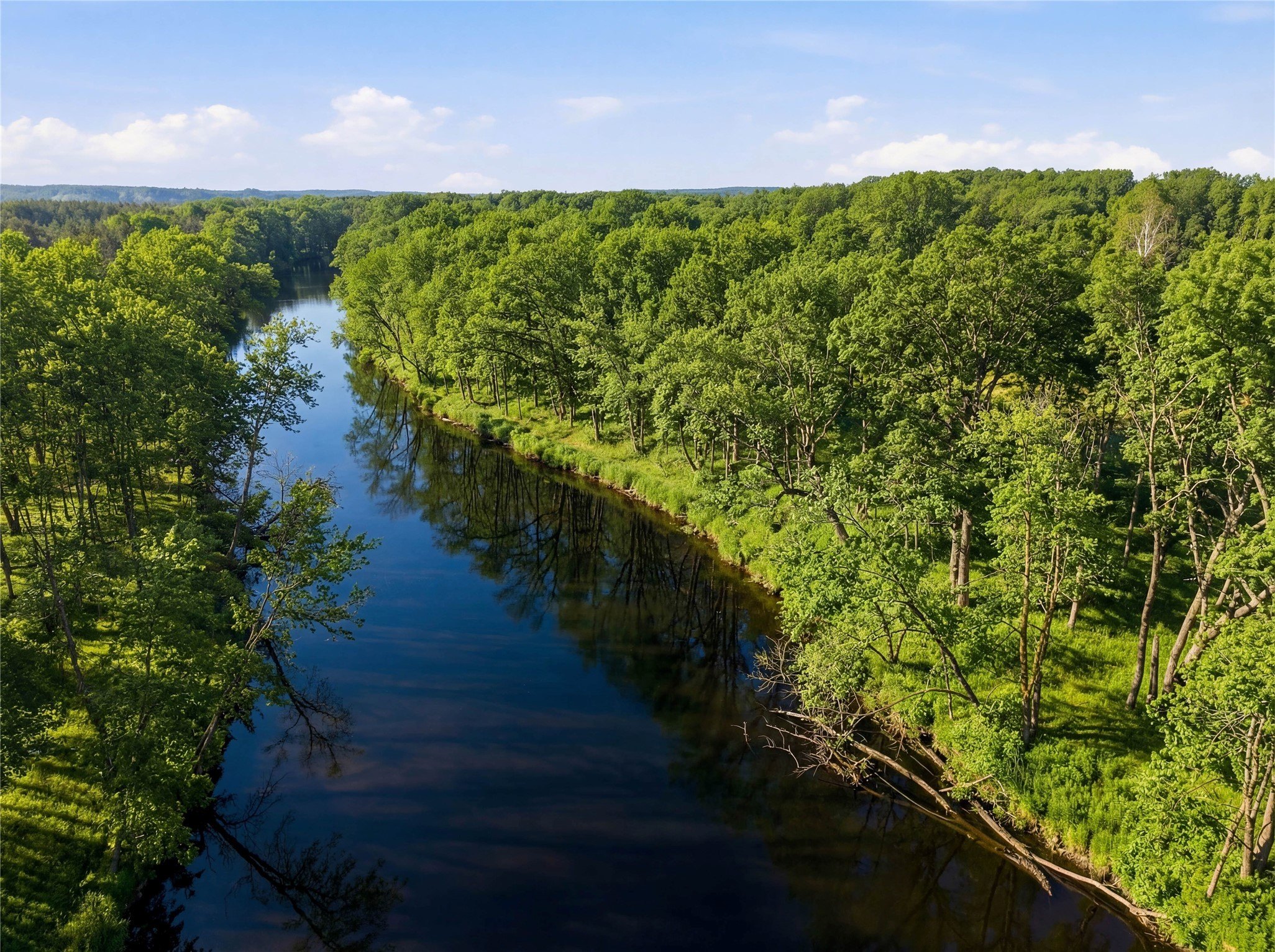 Wooded Land by Yellow River