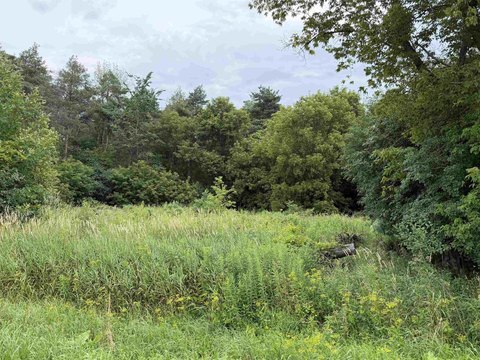 LAND - Madrid, NY