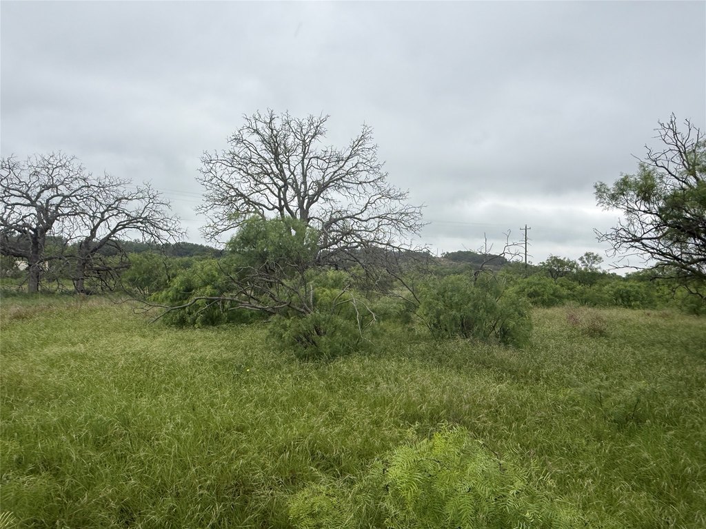Picture 16