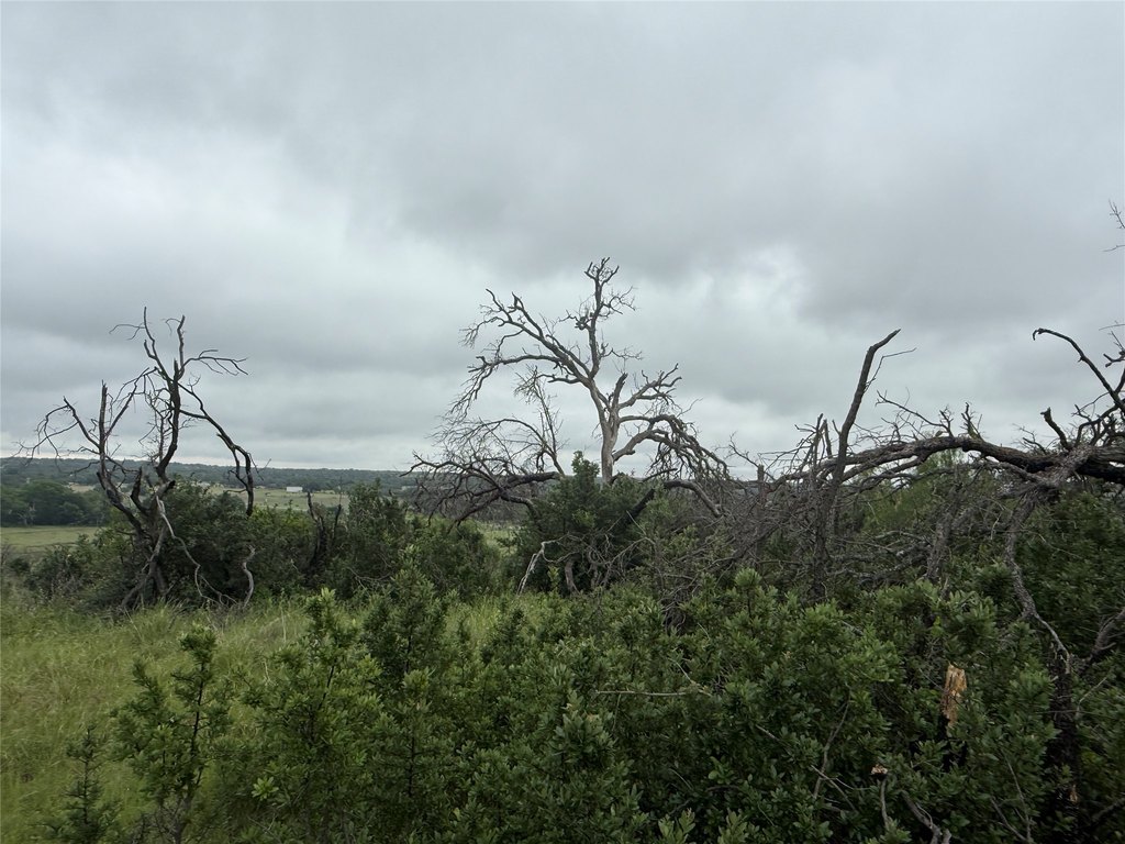 Picture 7