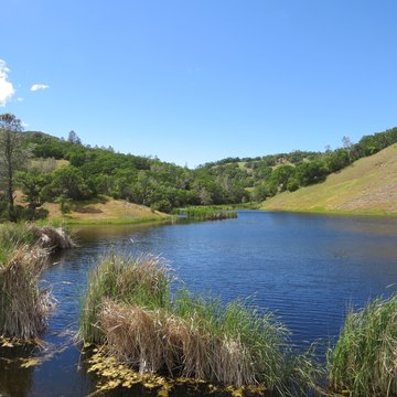 Agricultural Hunting Ranch Property