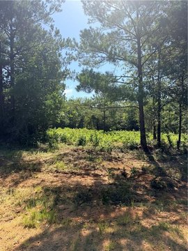 Land, Pollock, LA