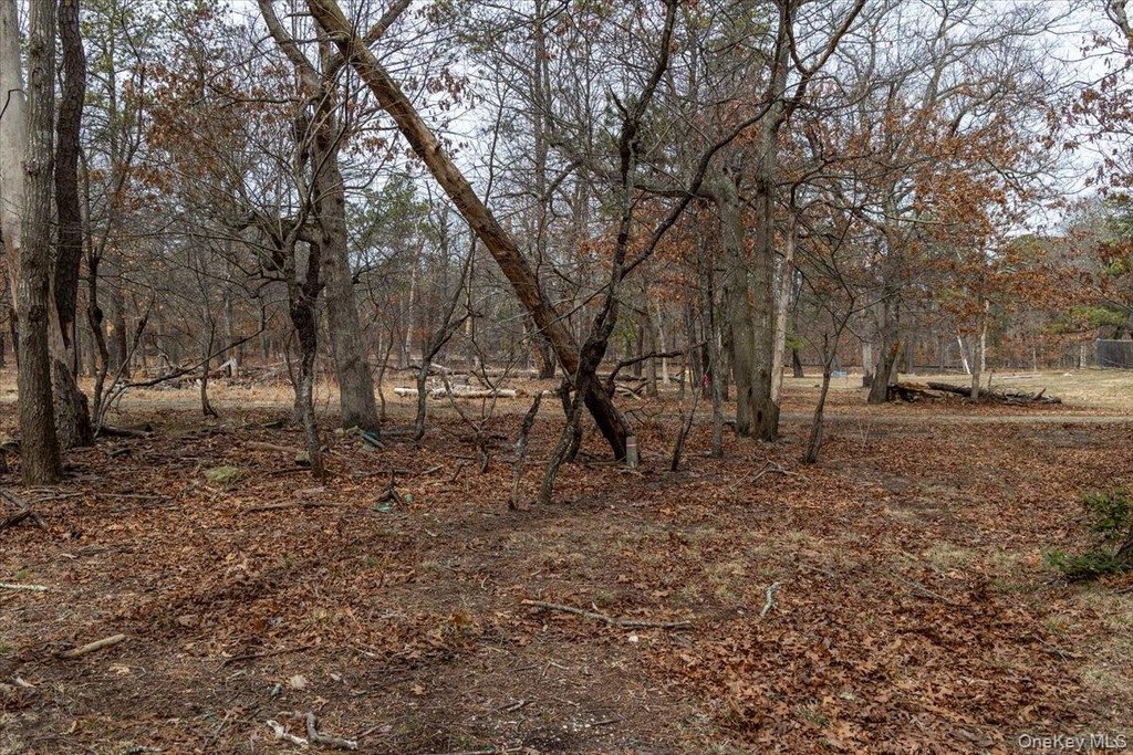 Picture 22