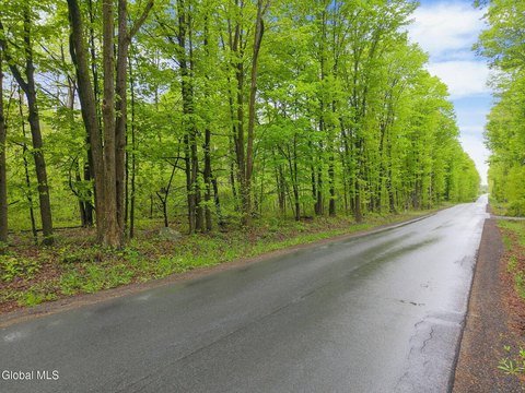 LAND - Charlton, NY