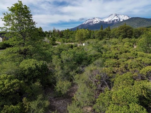 Land in Mt Shasta, CA
