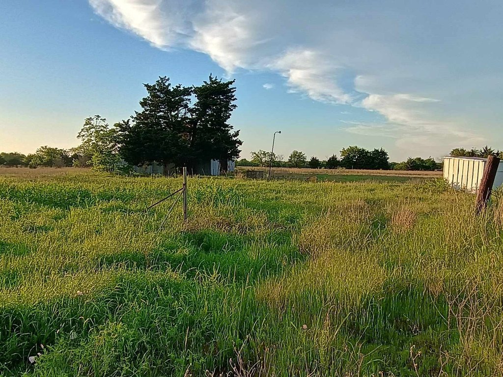Picture 25