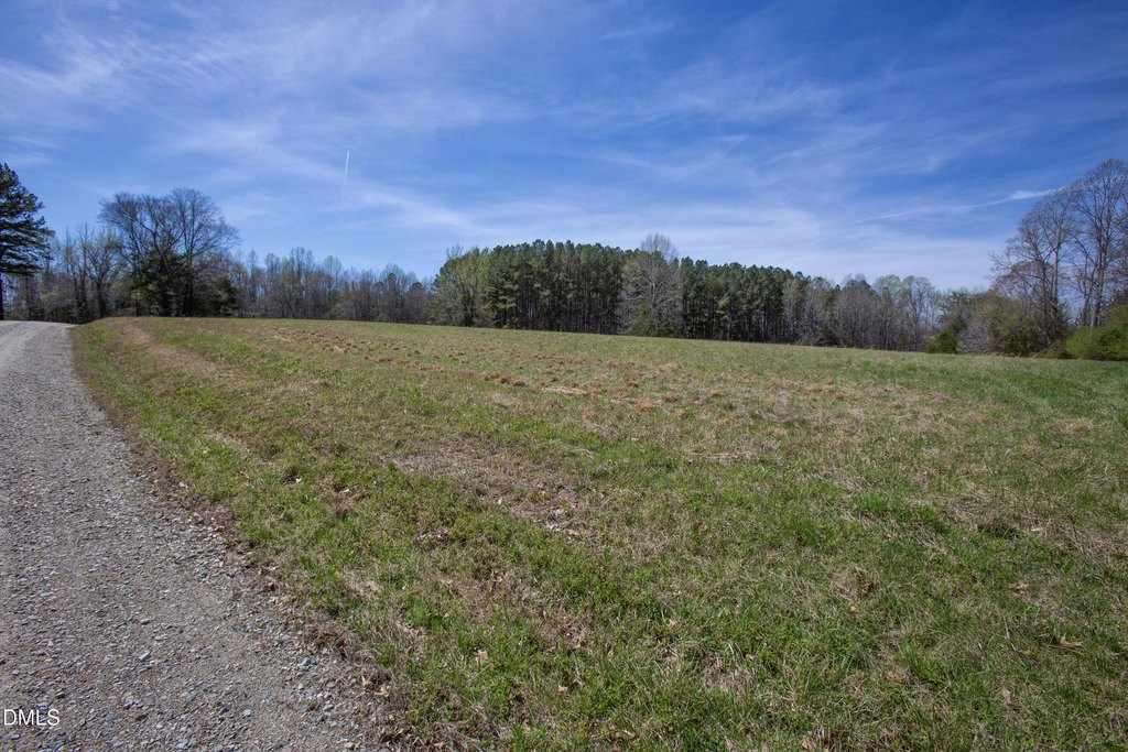 Picture 31