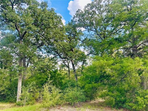 Land, Iola, TX