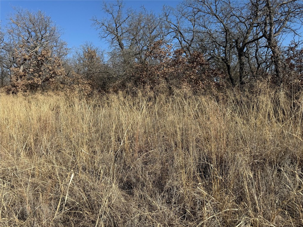 Picture 5