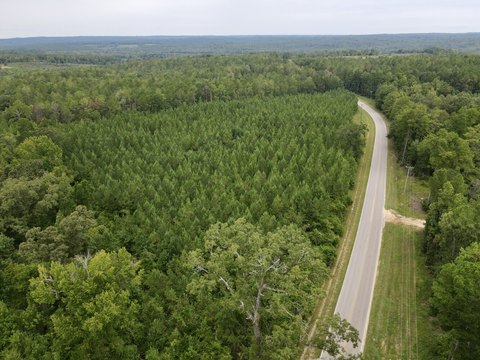 Land, Jackson, AL