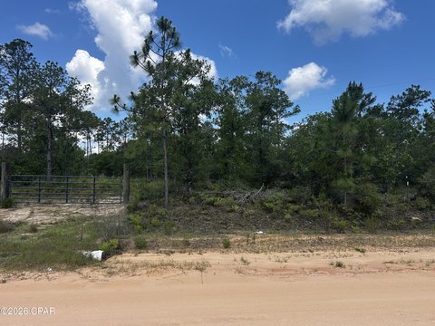 LAND - Alford, FL