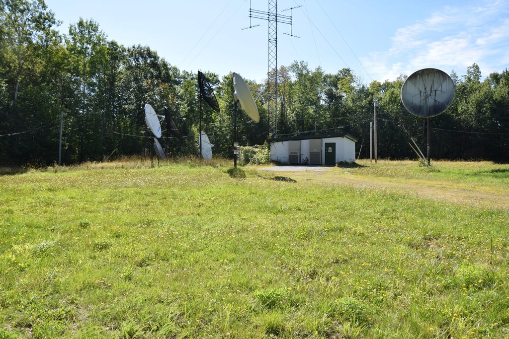 Picture 5