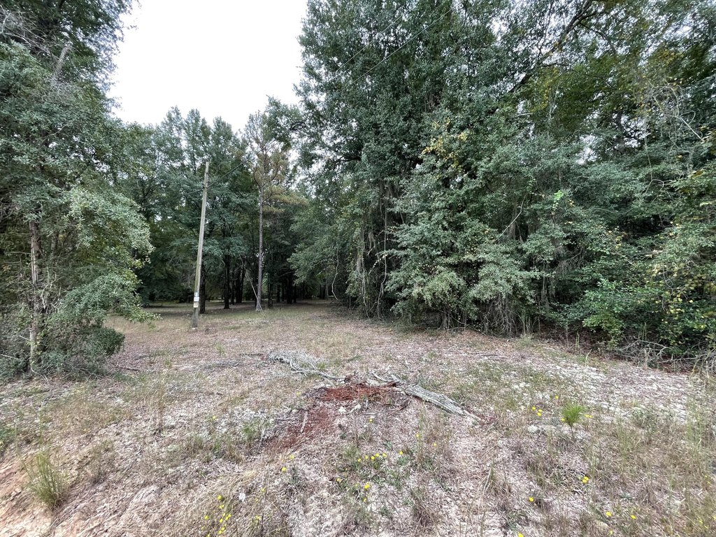 Picture 6