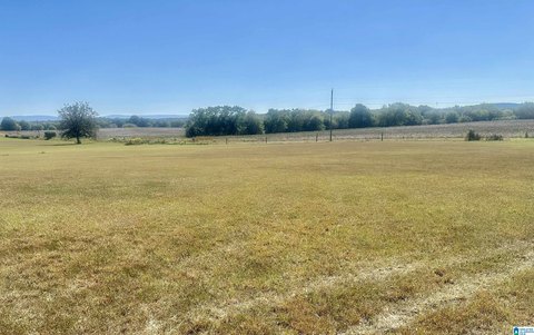LAND/LOTS, MUNFORD, AL