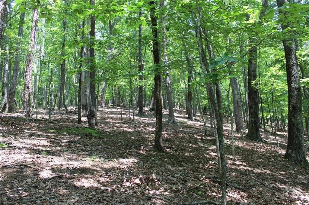 Land in Bent Tree Community
