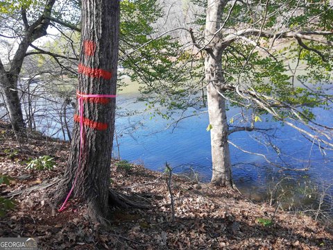 Lake Hartwell Waterfront Lot