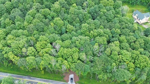 Wooded Recreation Land Near Resort