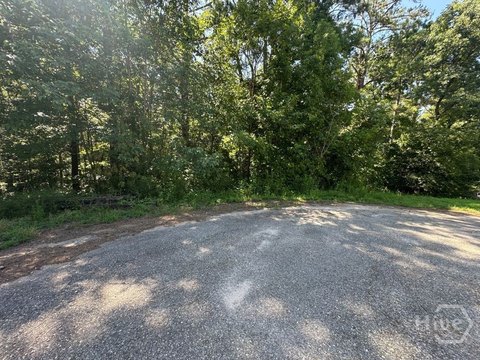 LAND - Carlton, GA
