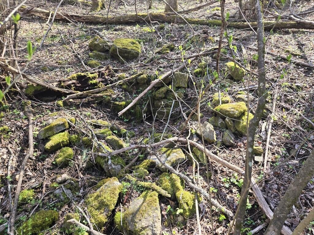 Picture 21