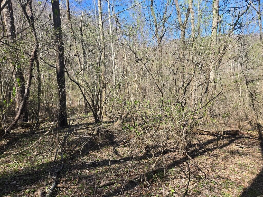 Picture 5