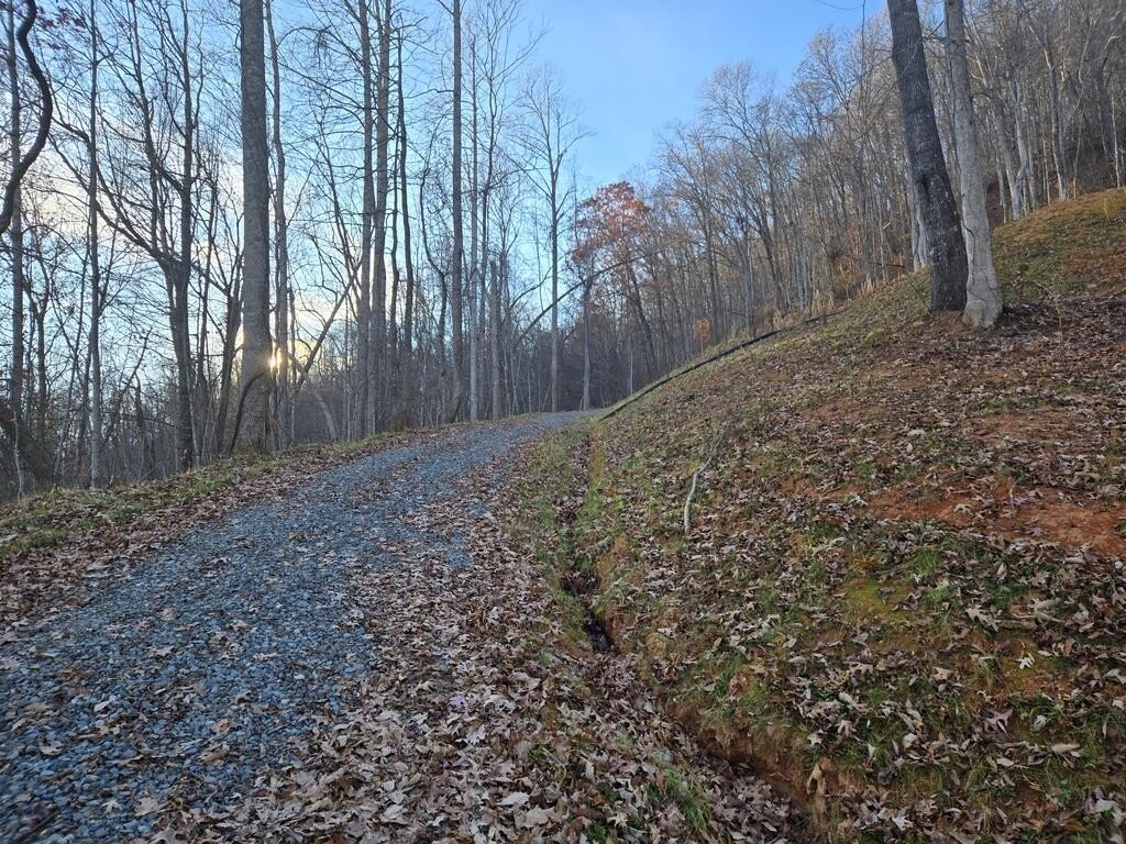 Picture 14